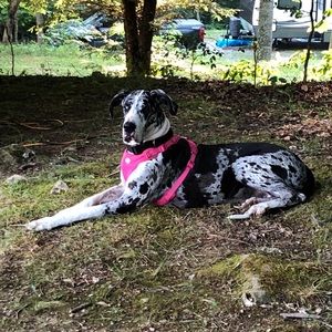 Meet your Posher, Leanne